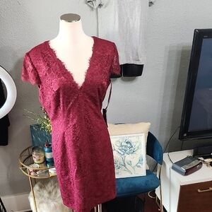 Weddington Way Nora Cabernet Crush Sheath Dress Lace Eyelash Cap Sleeve NWT Sz16